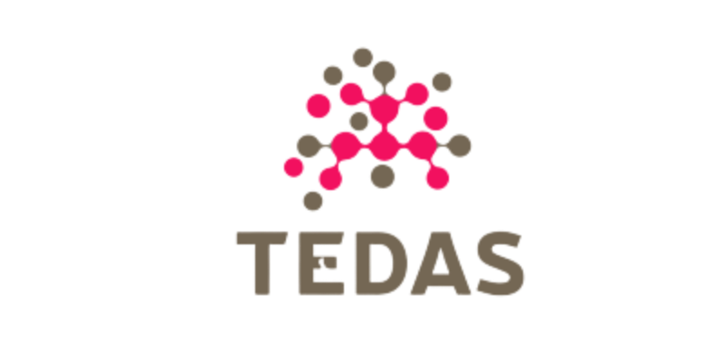 Tedas-removebg-preview.png